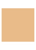Luminous Silk Concealer - 4