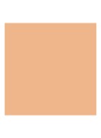 Luminous Silk Concealer - 4.5