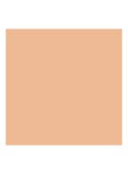 Luminous Silk Foundation - 4.5