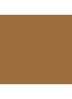 Luminous Silk Foundation - 5.75