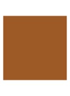 Luminous Silk Foundation - 11