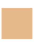 Luminous Silk Foundation - 3.8