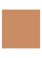 Luminous Silk Foundation - 5.5