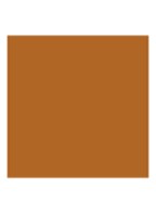 Luminous Silk Foundation - 8.5