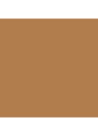  Luminous Silk Skin Tint - Foundation -  T1