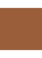  Luminous Silk Skin Tint - Foundation -  D1