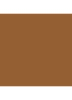  Luminous Silk Skin Tint - Foundation -  D2