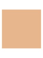 Power Fabric+ Multi-Retouch Concealer - 4.5