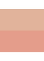 Blush & Highlight duo - blush & highlighter palette - Sunrise Glow