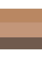 Eye Shadow palette - oogschaduw palette  - Golden Hour