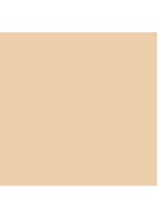 Intensive Skin Serum Foundation SPF 40 - Warm Sand