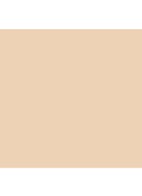 Intensive Skin Serum Foundation SPF 40 - Ivory