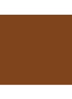 Intensive Skin Serum Foundation SPF 40 - Walnut