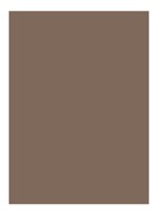 Natural Brow Shaper - getinte wenkbrauwgel - Blonde