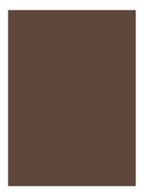 Natural Brow Shaper - getinte wenkbrauwgel - Mahogany