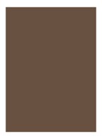 Natural Brow Shaper - getinte wenkbrauwgel - Espresso
