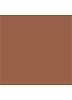 Nude Finish Illuminating Powder - highlighter - Buff