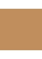 Skin Corrector Stick - Dark Peach