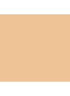 Skin Foundation Stick - 1 Warm Ivory