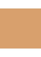 Skin Foundation Stick - 4 Honey