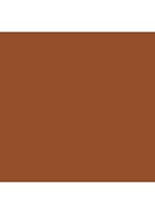 Skin Foundation Stick - 8 Walnut