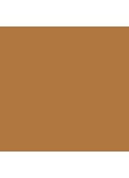 Skin Foundation Stick - 6.5 Warm Almond