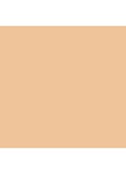 Skin Foundation Stick - 3.5 Warm Beige
