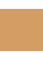 Skin Foundation Stick - 4.75 Golden Natural