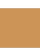 Skin Foundation Stick - 5.75 Golden Honey