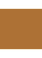 Skin Foundation Stick - W-076 Warm Golden