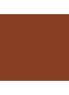Skin Foundation Stick - 9 Chestnut