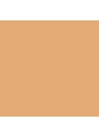 Skin Foundation Stick - C-046 Cool Beige