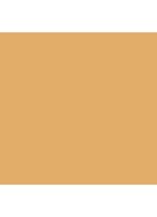 Skin Foundation Stick - W-048 Golden Beige