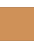 Skin Foundation Stick - C-056 Cool Natural
