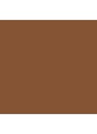 Skin Foundation Stick - Neutral Chestnut