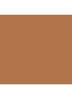 Skin Foundation Stick - Neutral Golden