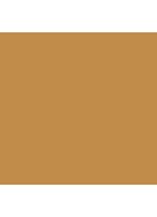 Skin Foundation Stick - 6 Golden