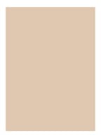 Skin Full Cover Concealer - IVORY
