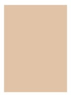 Skin Full Cover Concealer - BEIGE