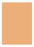 Skin Full Cover Concealer - NATURAL
