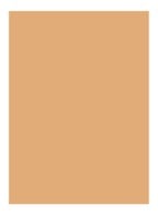 Skin Full Cover Concealer - NATURAL TAN