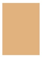 Skin Full Cover Concealer - WARM NATURAL