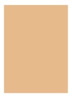 Skin Full Cover Concealer - HONEY