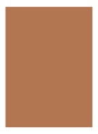 Skin Full Cover Concealer - ALMOND