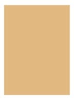 Skin Full Cover Concealer - WARM HONEY