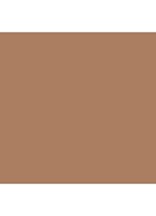Skin Perfect Concealer Stick - Walnut
