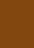 Vitamin Skin Tint SPF 15 - getinte dagcréme - Deep 2