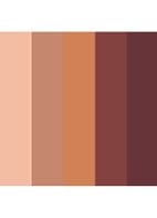 Eyeshadow 5 colours - oogschaduw palette - Dysco