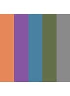 Eyeshadow 5 colours - oogschaduw palette - Sciomancer