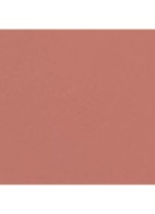 BIJZONDER INTENSE LIPPENSTIFT. EXTRACT VAN LICHT EN VERZORGING. NAVULBAAR - 812 BEIGE BRUT 